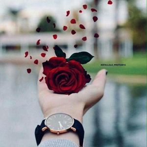 Meet your Posher, Shirin